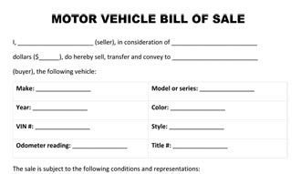 Motor Vehicle