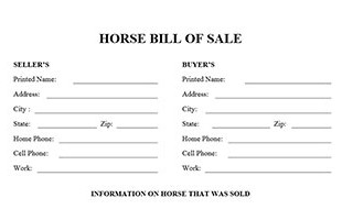 Horse Bill Of Sale Form